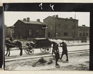 Contact Print #14 from page #1 in Lodz Ghetto Contact Album