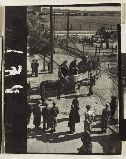 Contact Print #174 from Page #5 from Lodz Ghetto Album