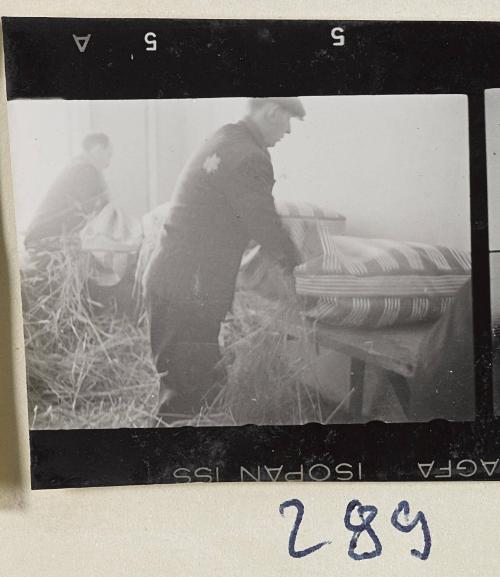 Contact Print #289 from Page #8 from Lodz Ghetto Album