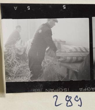 Contact Print #289 from Page #8 from Lodz Ghetto Album