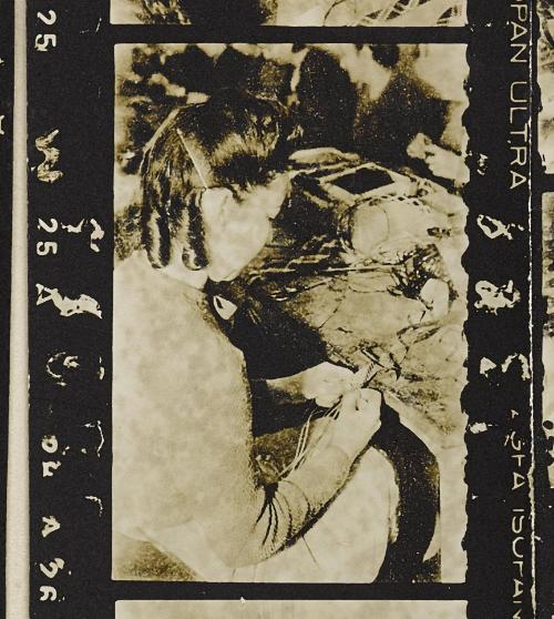Contact Print #388 from page #13 in Lodz Ghetto Contact Album