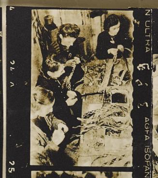 Contact Print #389 from page #13 in Lodz Ghetto Contact Album