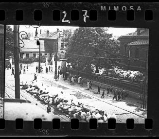 "The Catholic Church in Kosielny Square, in which the Nazis collected down and feathers [in bags] taken from Jews, for transport to Germany."