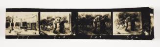 Lodz Ghetto Folio: contact print with 4 frames -  negative Nos. 559 - 562