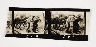 Lodz Ghetto Folio: contact print with 2 frames -  negative Nos. 560 & 561