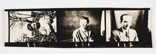 Lodz Ghetto Folio: contact print with 3 frames -  negative Nos.645 - 647