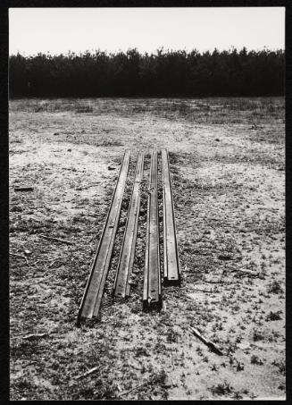 Chelmno steel track remains