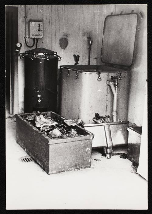 Corpses and body parts in the morgue