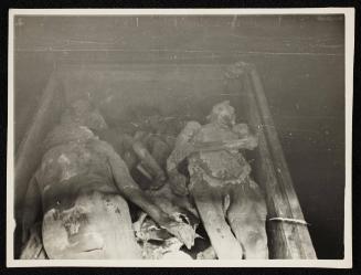 Corpses and body parts in the morgue