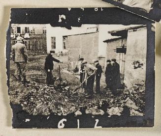 Contact Print #612 from page #14 in Lodz Ghetto Contact Album