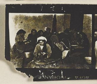Contact Print #471 from page #15 in Lodz Ghetto Contact Album