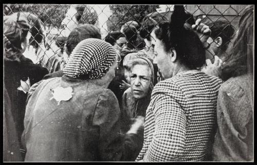 Three women in conversation through fence
