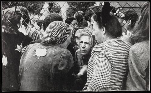 Three women in conversation through fence