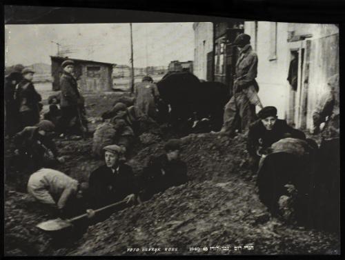 Man digging pit while boys search the ground for potatoes