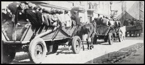 Three horse-drawn deportation wagons on the road
