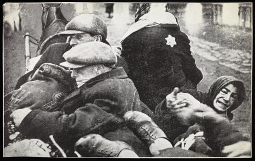 "Evacuation of the sick (and aged, by horse-drawn cart)"

