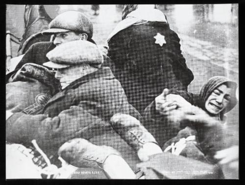 "Evacuation of the sick (and aged, by horse-drawn cart)"
