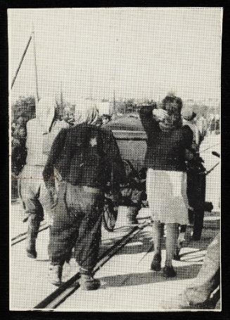 Mass deportation passing fecal workers