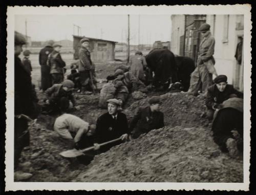 Man digging pit while boys search the ground for potatoes