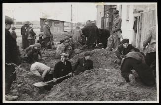 Man digging pit while boys search the ground for potatoes