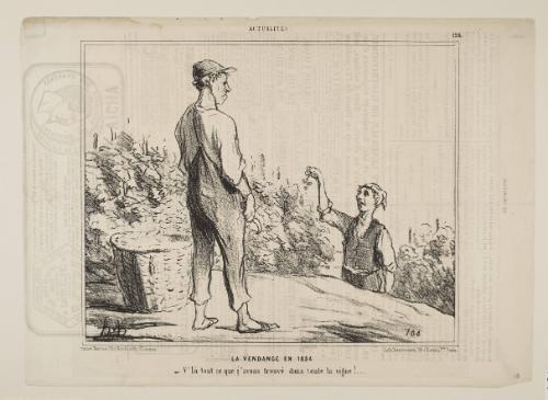 La vendange en 1854 from Actualités