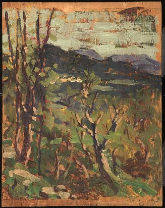 Untitled [Landscape Study]