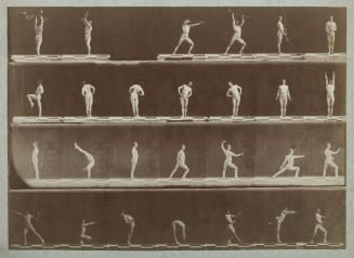 Four studies of Demeny in military, stretching, fencing and stretching movements