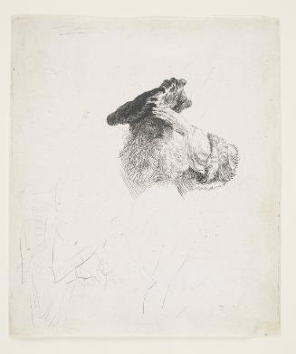 Old Man Shading his Eyes with his Hand