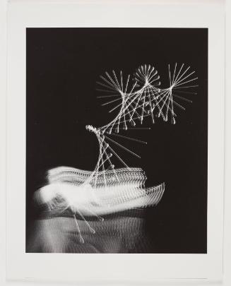 5301 (Baton multi-flash)