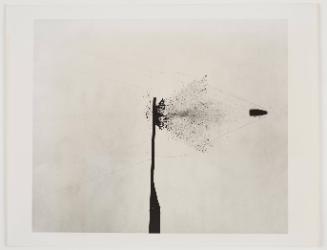 Bullet thru Cardboard