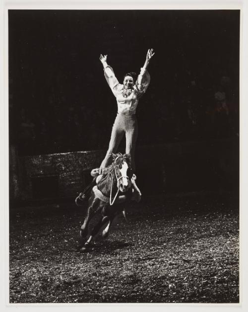 woman standing on horse (rodeo)
