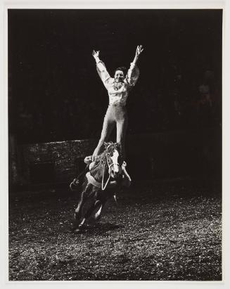 woman standing on horse (rodeo)