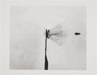 bullet through cardboard