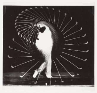 Dennis Shute, Multiflash (RC print)