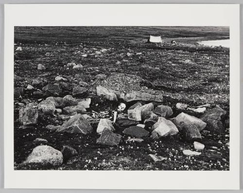 Tent ring, remains, contemporary camp