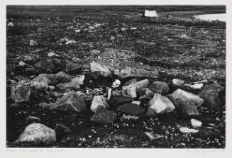 Tent ring and human remains near camp at Amuchuk