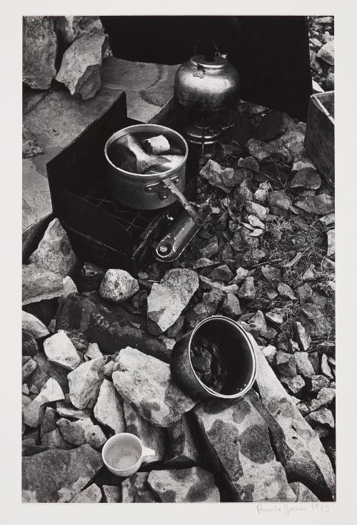 Char cooking on Coleman