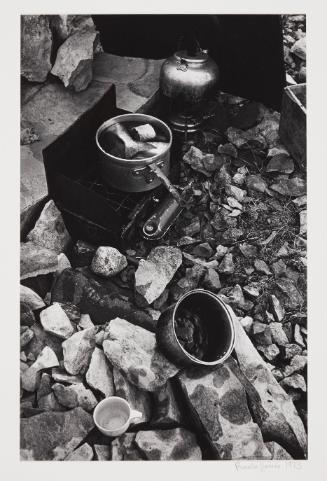 Char cooking on Coleman