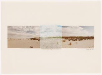 Untitled [Sonoran Desert from Locations and Sites series]