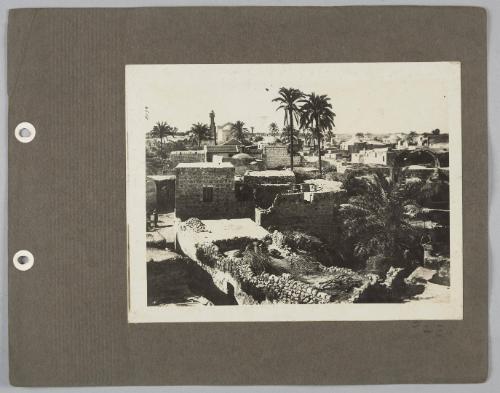 Album: Palestine etc.