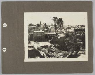 Album: Palestine etc.