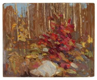 The Red Maple, Algonquin Park (recto)