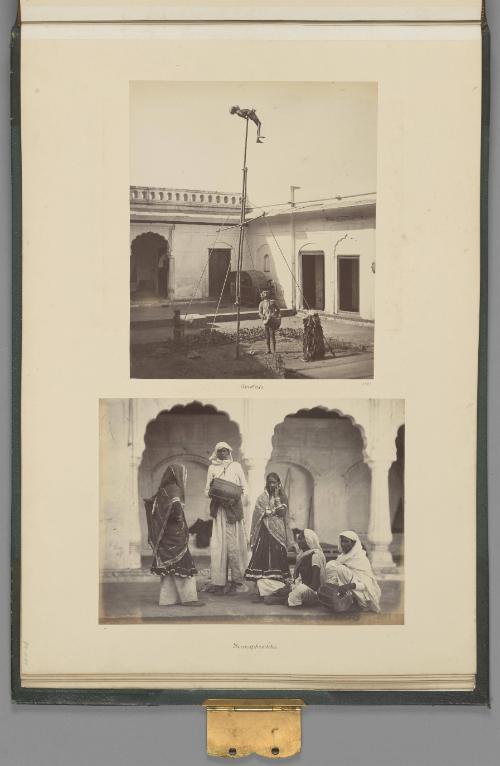 Hermaphrodites   from The Sutlej - Indian Groups etc.