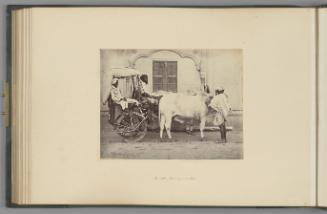 An Indian Carriage and Pair   from The Sutlej - Indian Groups etc.