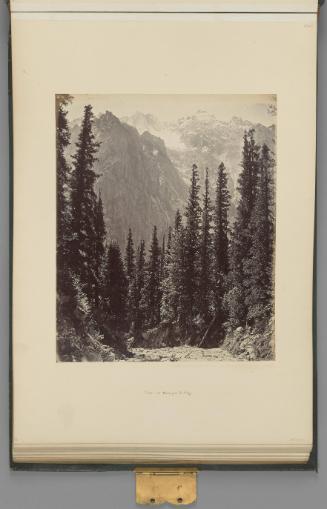 View in the Wanga Valley   from The Sutlej - Indian Groups etc.