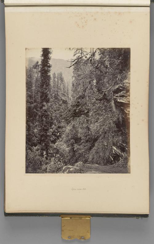 [A glen near Kot, Kulu]   from Himalayas