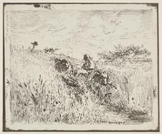 Sentier dans les bles