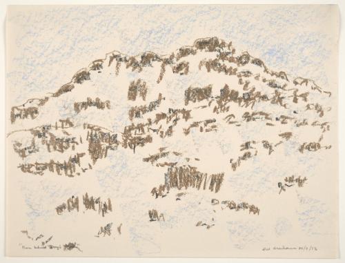 From behind Terry's house