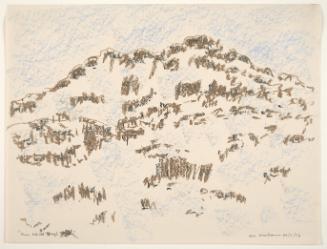 From behind Terry's house