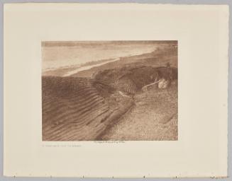 A Partially Cut Up Whale from the volume The North American Indian